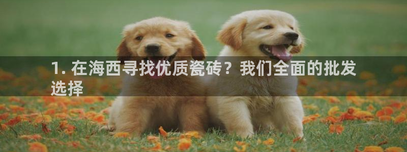 杏鑫娱乐负责人