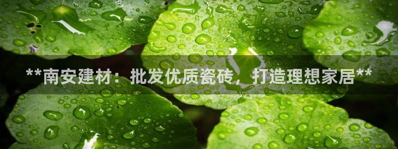 杏鑫平台代理