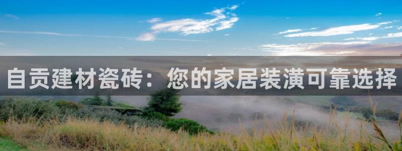杏鑫平台直属