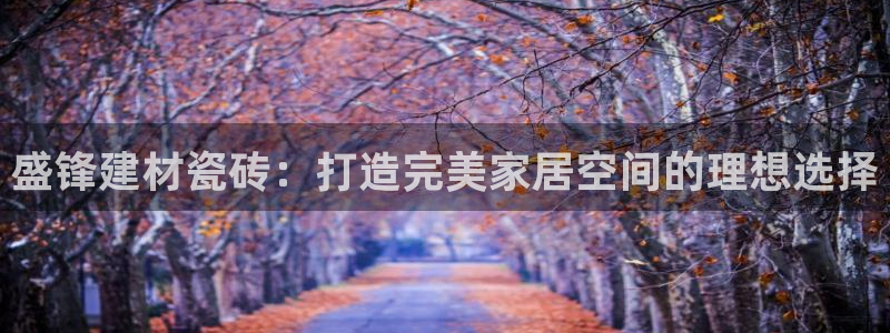 杏鑫官方平台怎么样