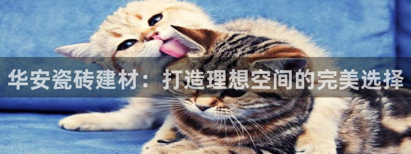 杏鑫平台招商怎么样啊