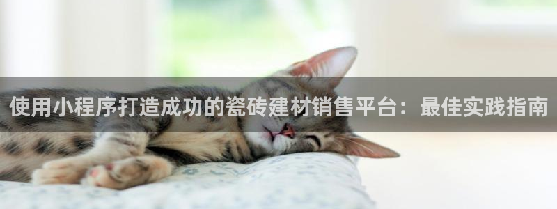 杏鑫平台怎么样