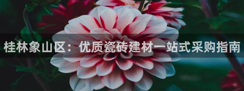 杏鑫官网最新信息新闻报道