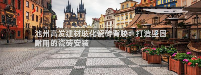 杏鑫平台招商