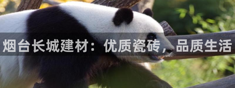 杏鑫娱乐是合法的吗?
