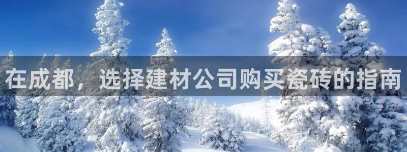 杏鑫平台下载安装