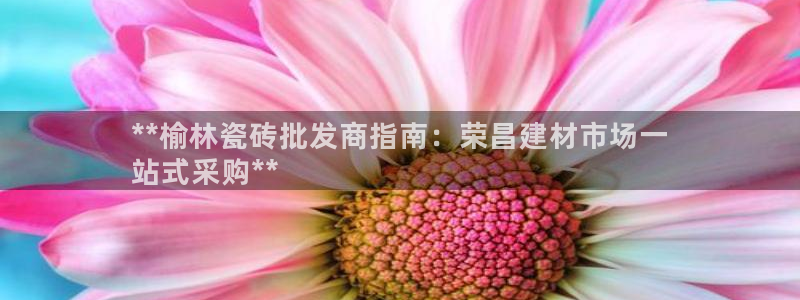 杏鑫平台注册地址在哪里