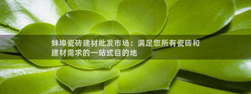 杏鑫平台招商电话号码