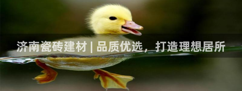 杏鑫有亏损返点吗