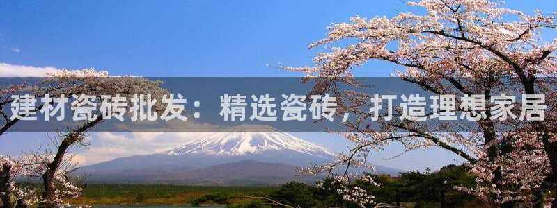 杏鑫平台代理怎么做赚钱