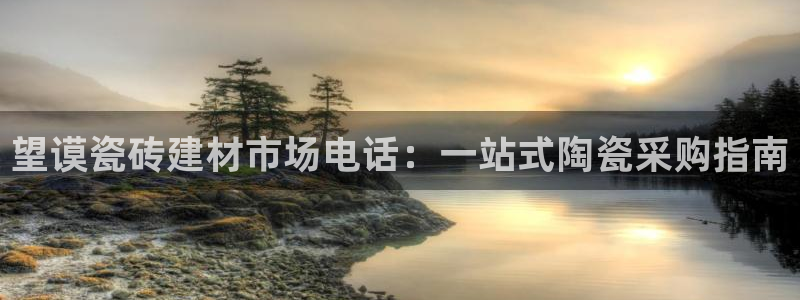 杏鑫平台注册地址在哪里