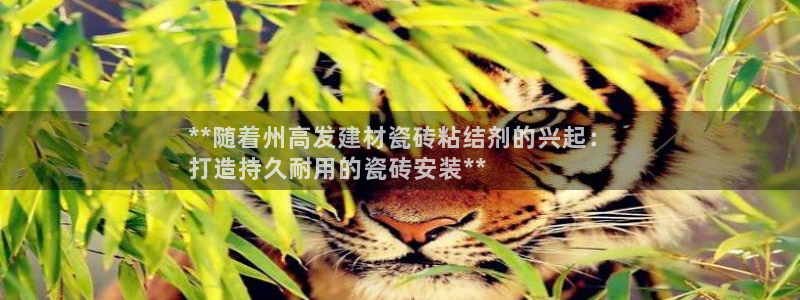 杏鑫平台代理注册多少钱一年