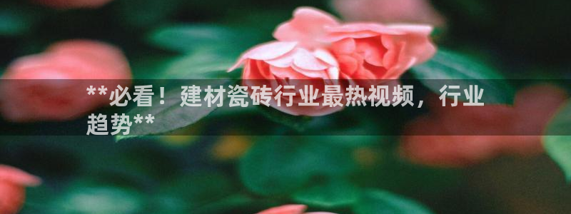 杏鑫平台野马联盟怎么样