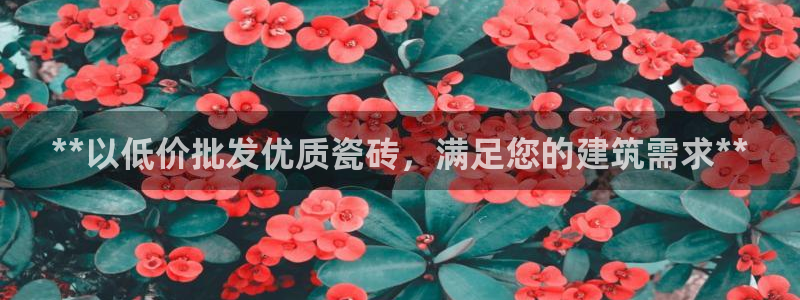 杏鑫官方平台怎么样啊