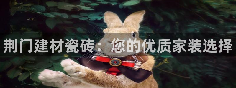 杏鑫平台直属哪个公司