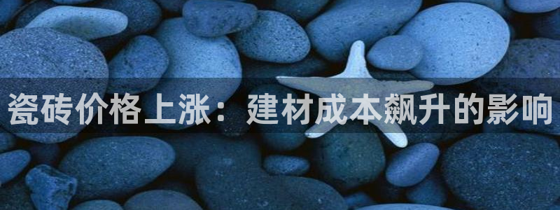 杏鑫手机客户端