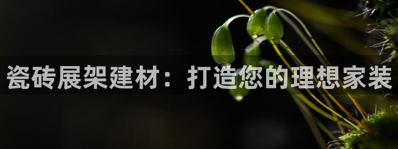 杏鑫注册平台官方网站下载