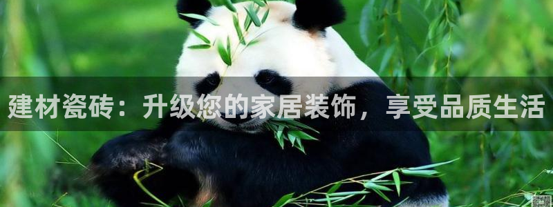 杏鑫官方平台怎么样啊安全吗
