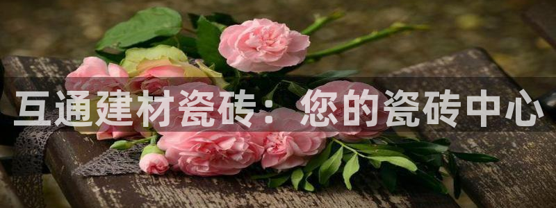 杏鑫注册登录代理