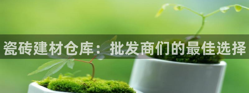 杏鑫平台代理怎么做的
