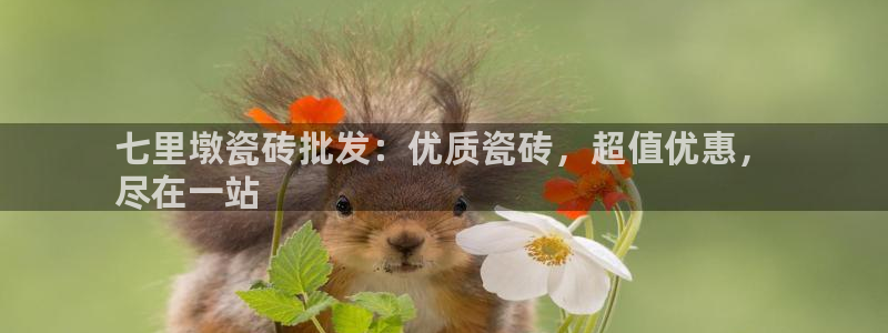 杏鑫平台登录地址在哪