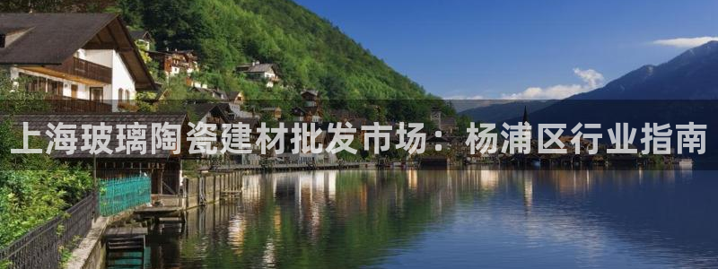 杏鑫平台代理怎么做