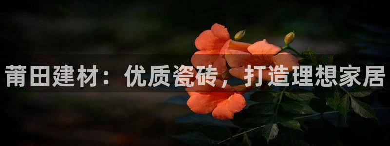 杏鑫官方平台怎么样啊安全吗