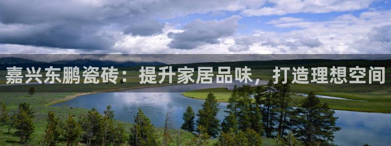 杏鑫官方平台怎么样