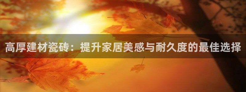 杏鑫平台测速