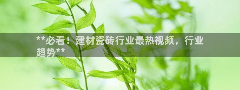 杏鑫平台是黑平台吗是真的吗