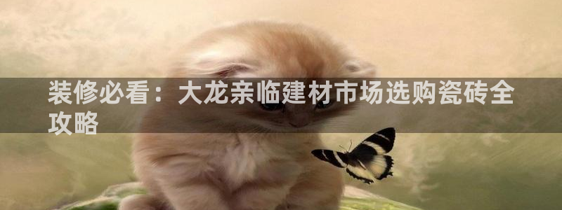 杏鑫主管