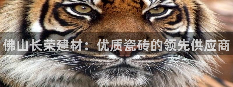 杏鑫平台平台