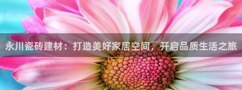 杏鑫平台招商