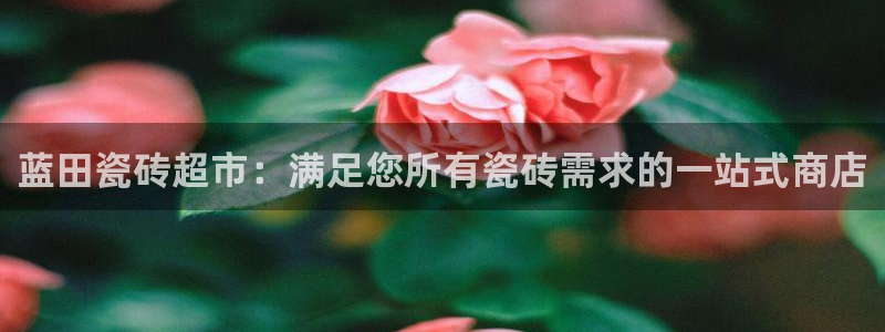 杏鑫官方平台怎么样啊知乎