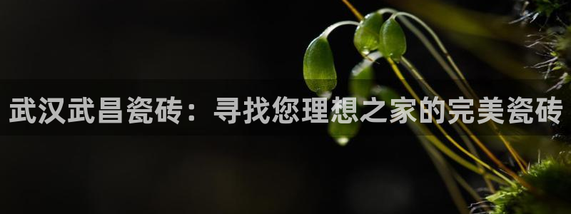 杏鑫平台直属哪个公司