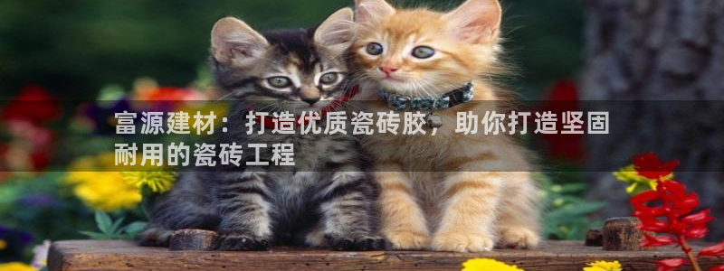 杏鑫平台注册入口在哪