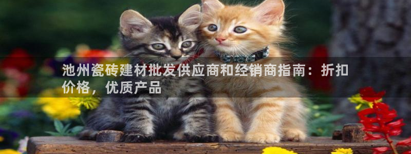 杏鑫平台招商