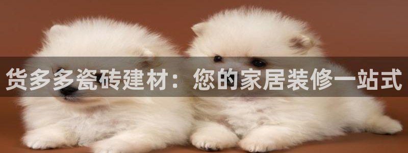 杏鑫平台代理