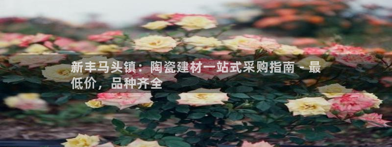 杏鑫娱乐平台