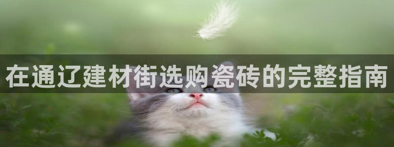 杏鑫官网最新信息