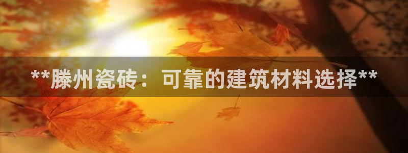 杏鑫平台注册地址是哪里