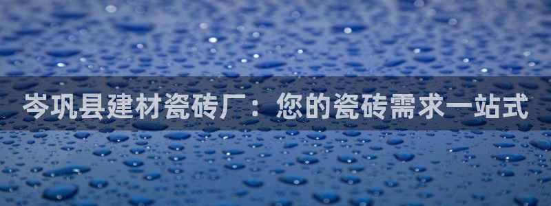 杏鑫主管
