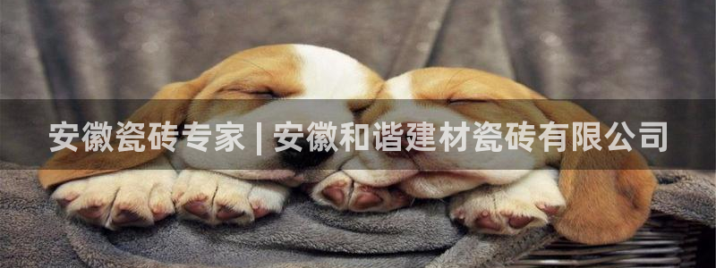 杏鑫娱乐怎么下