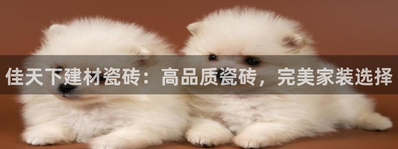杏鑫娱乐官网首页