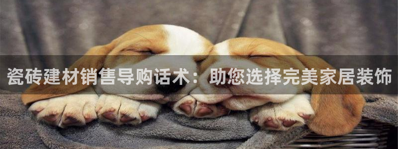 杏鑫手机客户端
