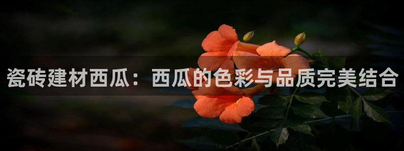 杏鑫平台列7O777