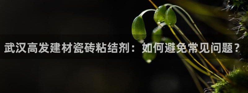 杏鑫娱乐平台登录