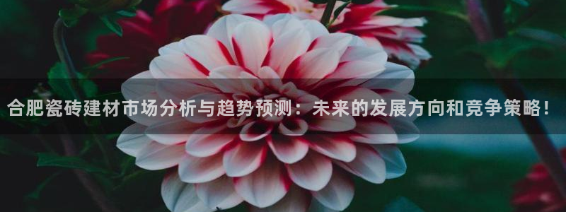 杏鑫平台代理怎么做