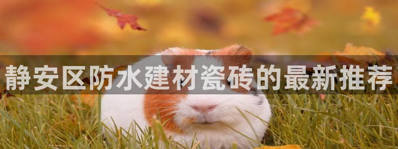 杏鑫平台登录注册