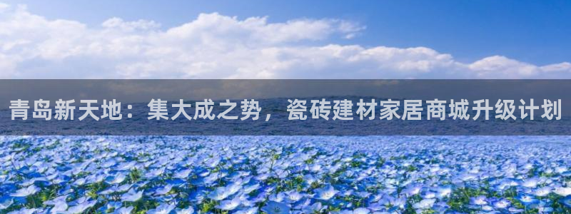 杏鑫平台怎么样